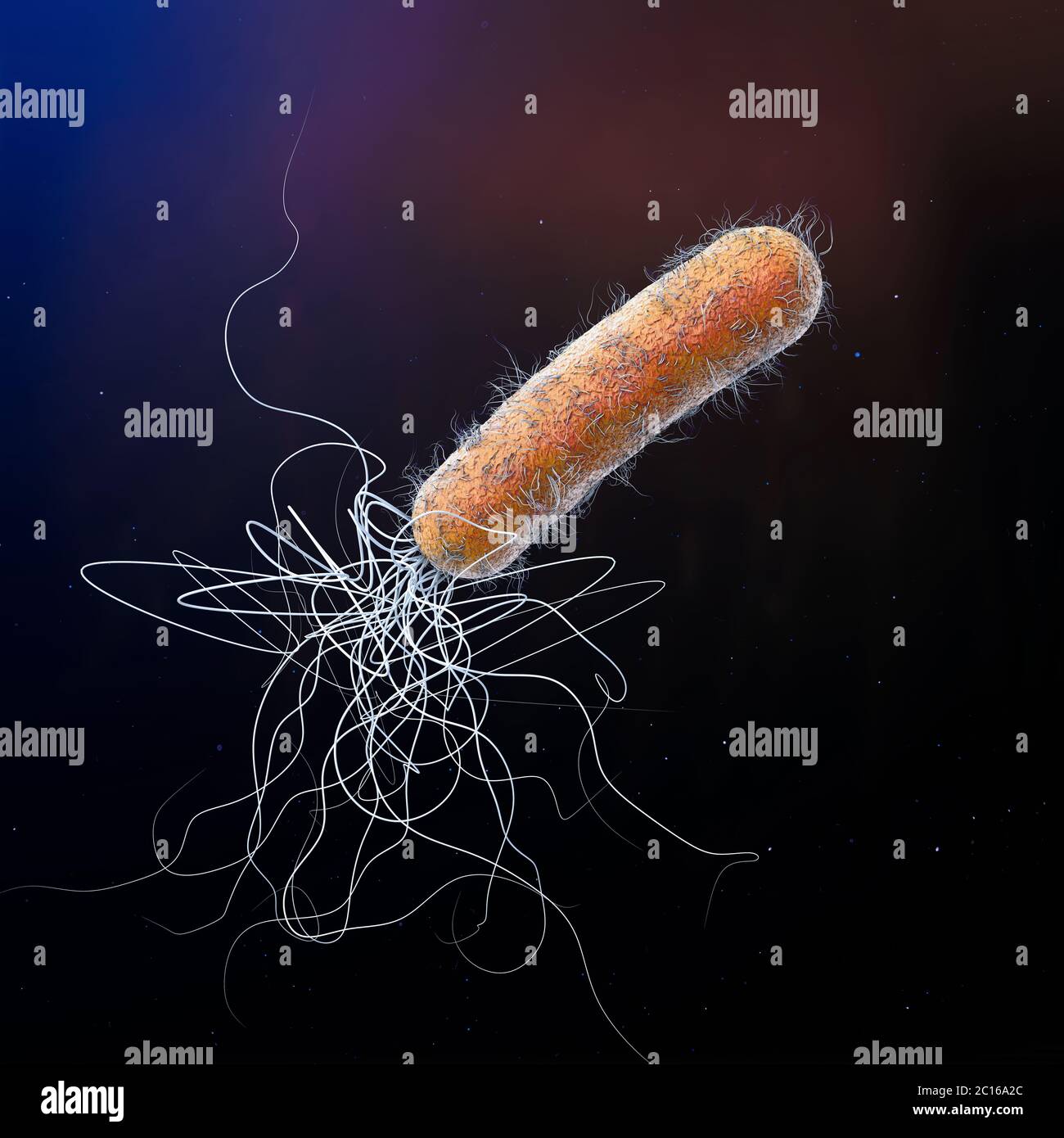 Einzelne orange farbige mehrere Antibiotika resistente Pseudomonas aeruginosa Bakterium - 3d-Illustration Stockfoto