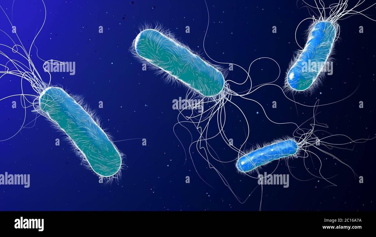 Blau gefärbt multiples Antibiotikum resistentes Pseudomonas aeruginosa Bakterium - 3d-Illustration Stockfoto