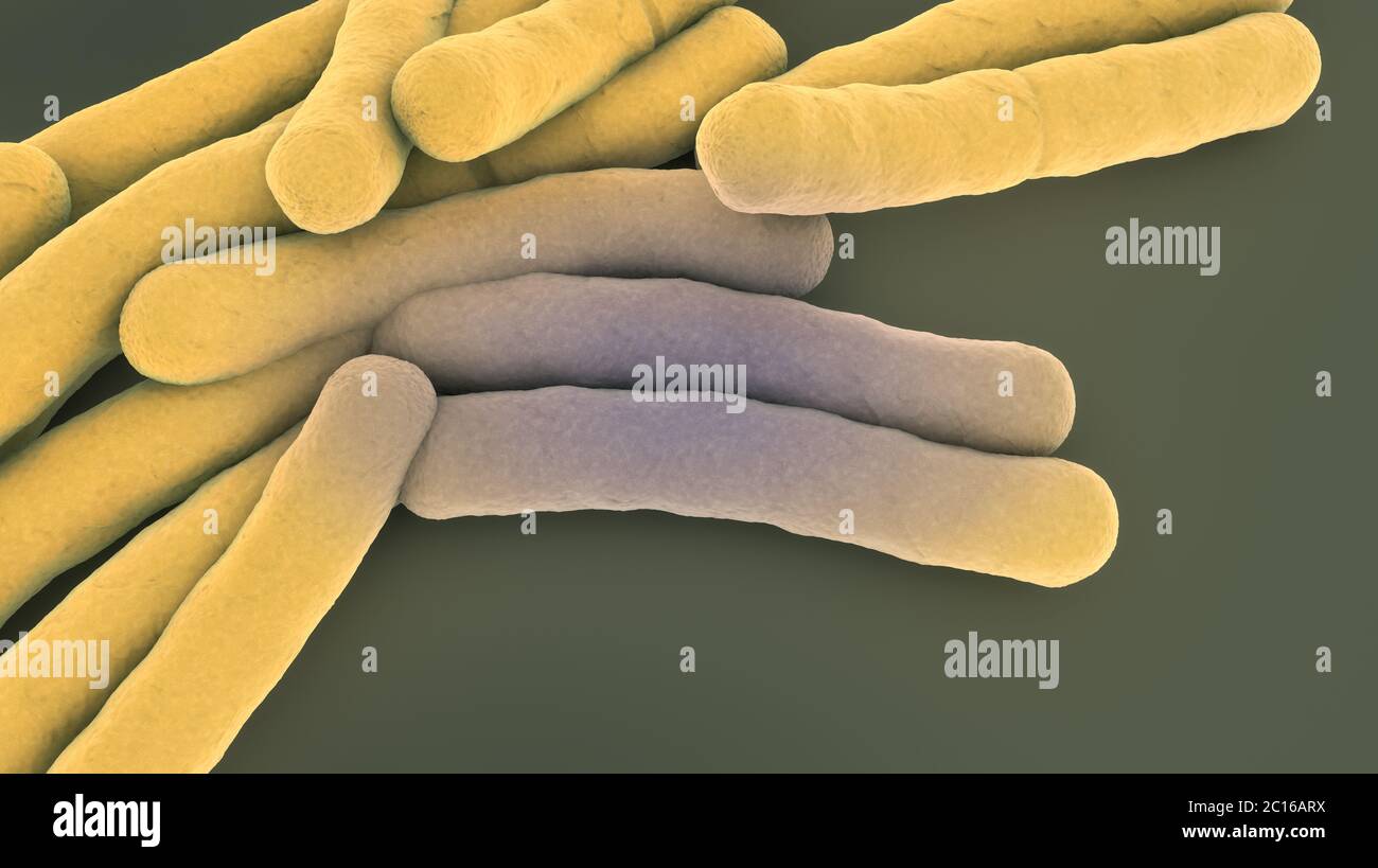 Akkumulation von Tuberkulose-Bakterien - 3d-Illustration Stockfoto