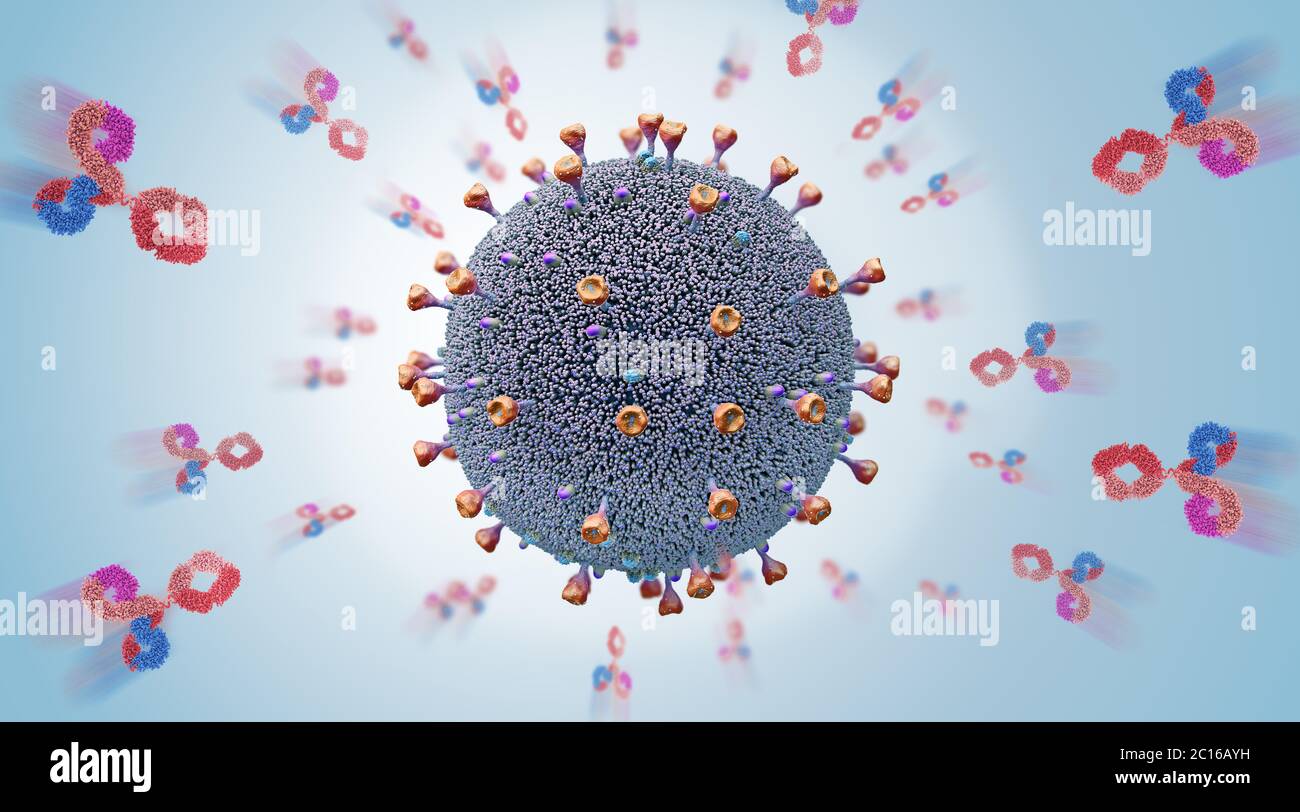 Körpereigene freigesetzte Antikörper greifen eine Viruspathogen-Zelle an - 3d-Illustration Stockfoto