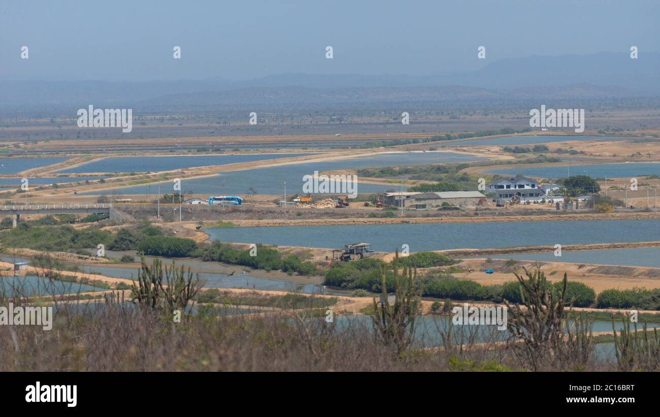 Panoramablick auf den Pool-Sektor für Garnelenproduktion mit Bergen im Hintergrund in der Provinz Santa Elena an der Küste Ecuadors Stockfoto