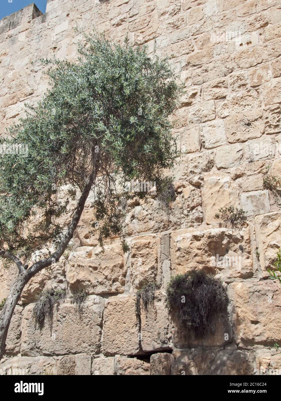 Alte Stadt Außenwand, alten Stadt Jerusalem Israel Stockfoto