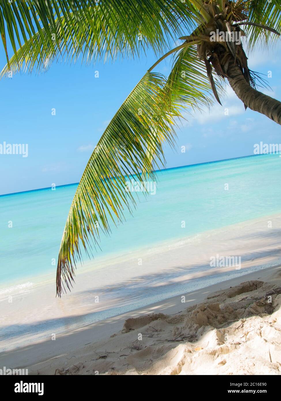 Dominicana Stockfotos Und Bilder Kaufen Alamy