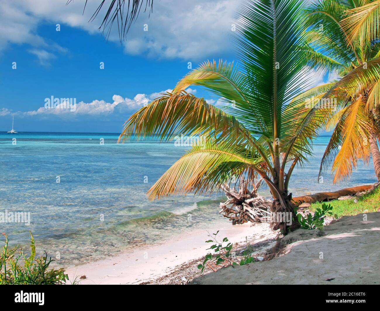 tropischer Strand in der Dominikanischen Republik. Karibische Meer. Insel Saona Stockfoto