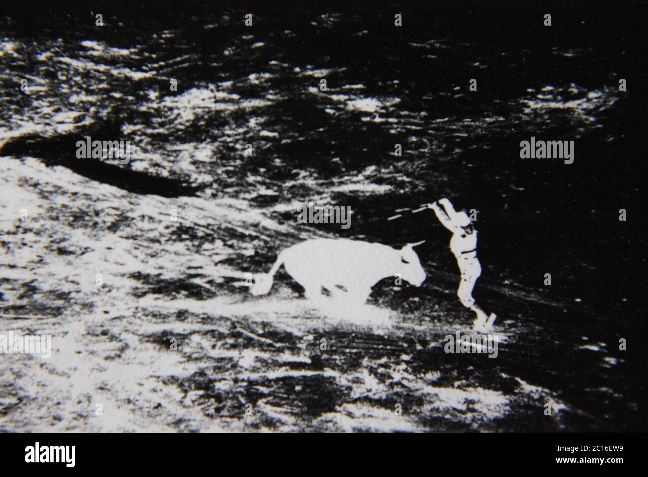 Feine 70er Jahre Vintage schwarz-weiß extreme Fotografie eines Matador liefert die Tötung Schuss zu einem Stier in einem Stierkampf Ring. Stockfoto