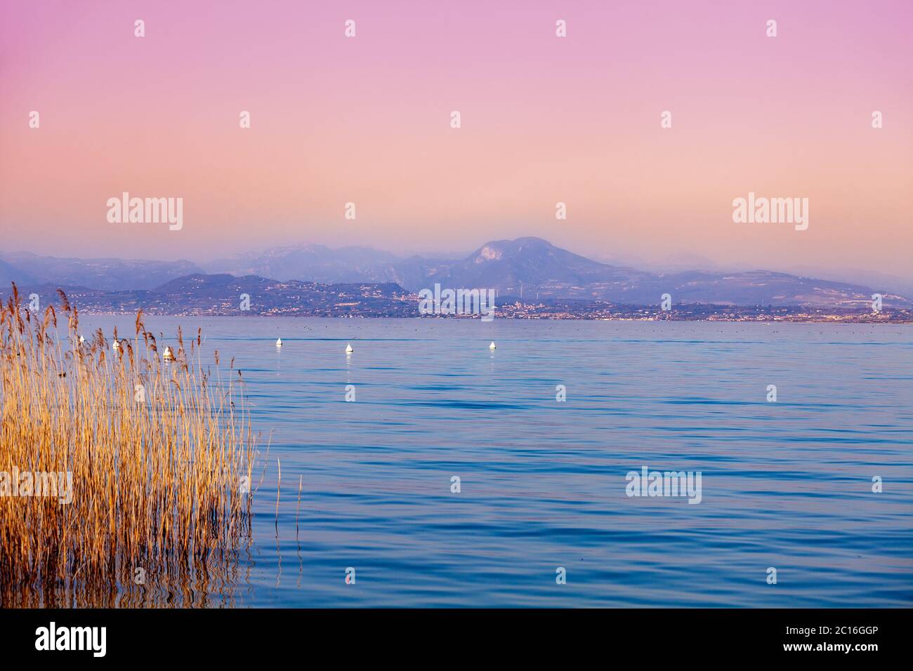 Am frühen Morgen, Sonnenaufgang über dem See. Sedge im See. Gardasee (Lago di Garda), Italien, Europa Stockfoto