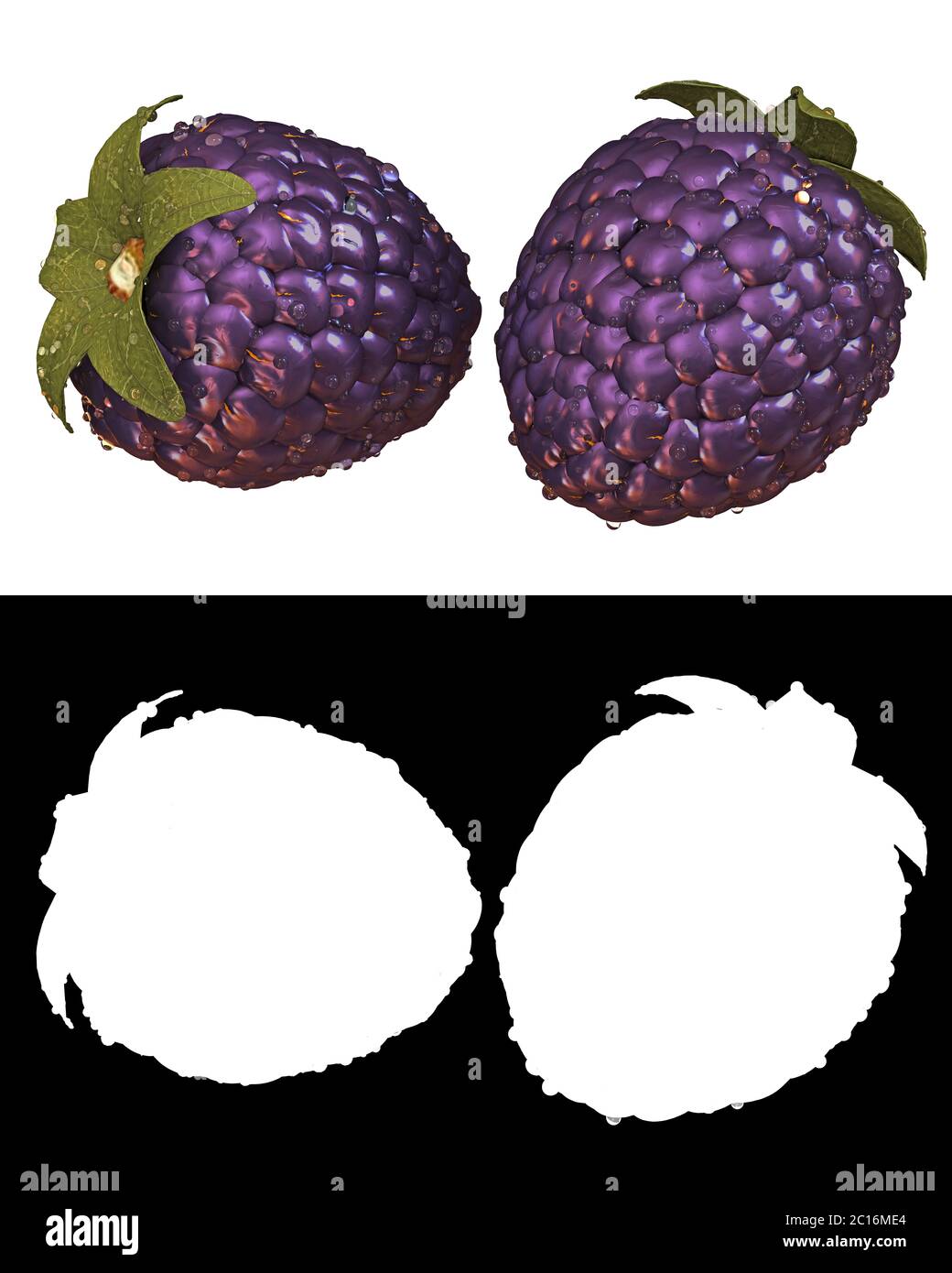 BlackBerry Fruit und passende Alpha-Kanal - 3d-Illustration Stockfoto