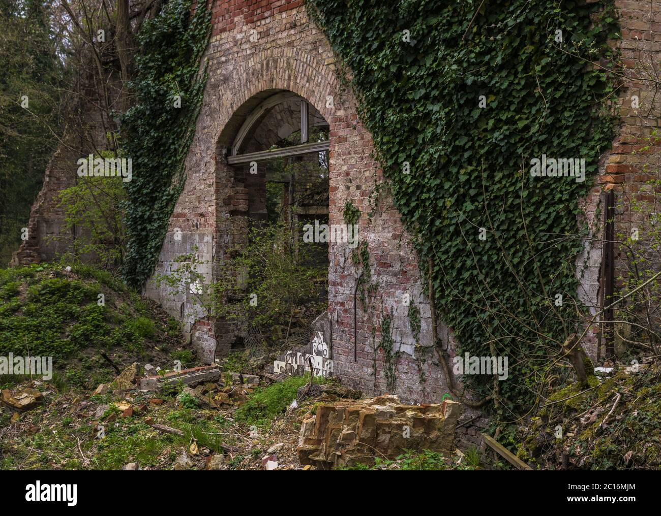 Ruine im Wald Stockfoto
