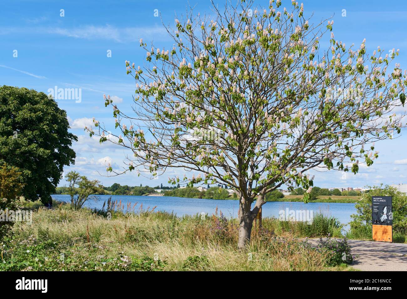 Der Eingang zu Walthamstow Wetlands, North London UK, im Juni, mit Low Maynard Reservoir Stockfoto