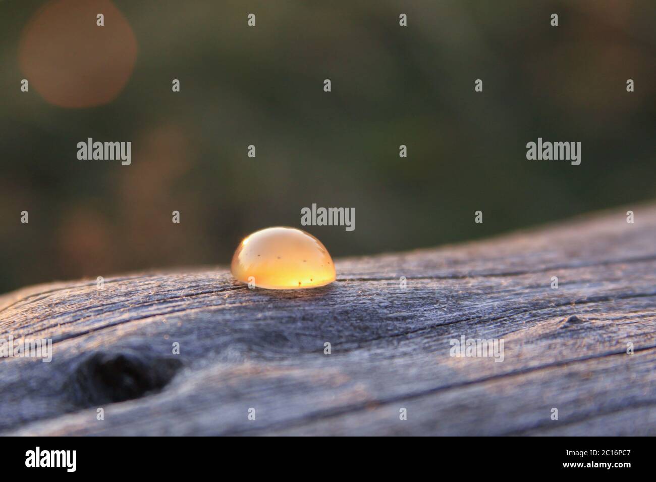 Ein isolierter, cremegelber Chalcedon Achat-Edelstein auf Holzgrund, der im Sonnenlicht leuchtet. Chalcedonsteine gibt es in einer Vielzahl von verschiedenen Farben Stockfoto