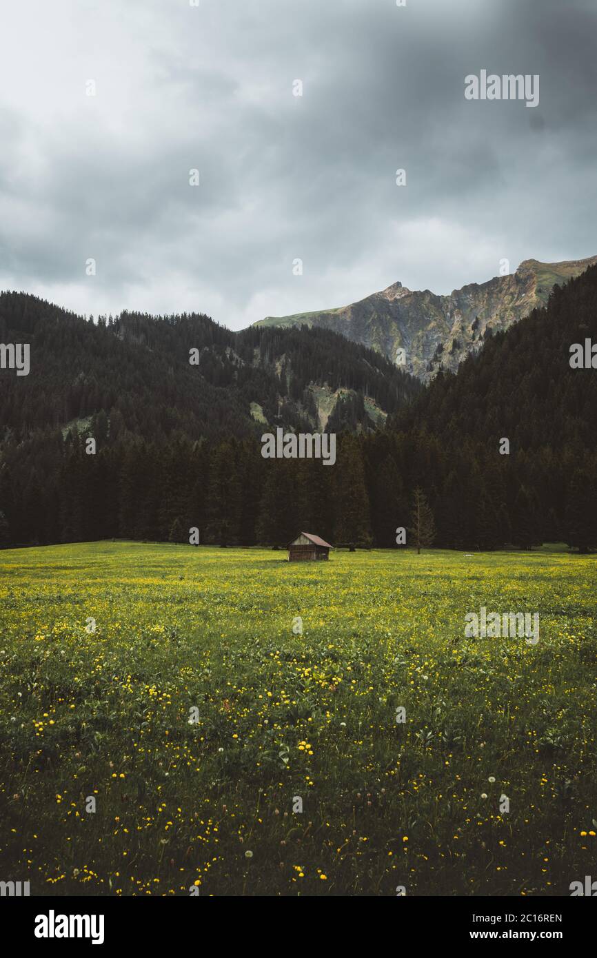 Kleine Hütte auf einer grünen Wiese vor einem bergigen Hintergrund Stockfoto