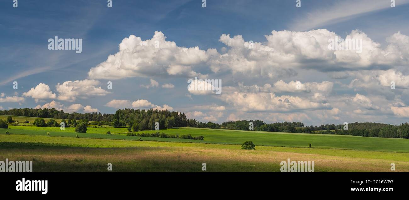 Landschaft mit blauem Himmel und Wolken - Panorama der ländlichen Landschaft mit Feld und Wald Stockfoto