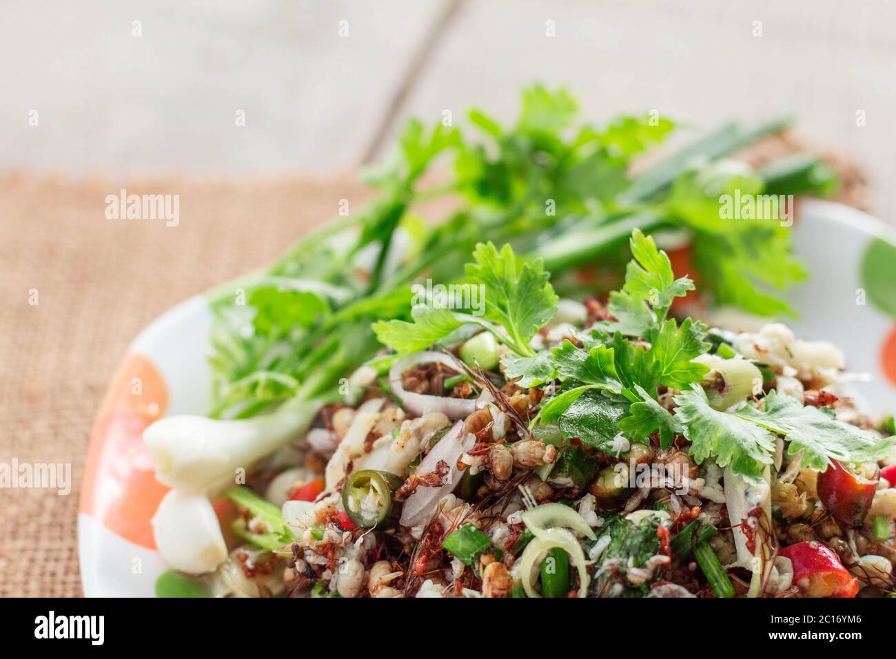 Ameiseneier von thailändischem Essen. Stockfoto