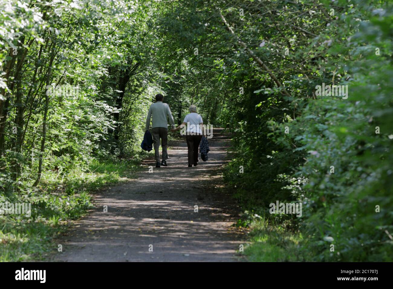 Ein älteres Paar, das Hand in Hand einen Weg unter einem Baumkronen aus grünen Blättern entlang geht und einen Tunnel bildet Stockfoto