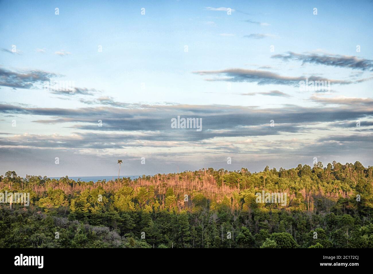 Panoramablick auf die Berge tropische Wälder Stockfoto