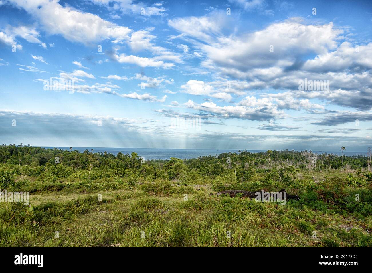 Panoramablick auf die Berge tropische Wälder Stockfoto