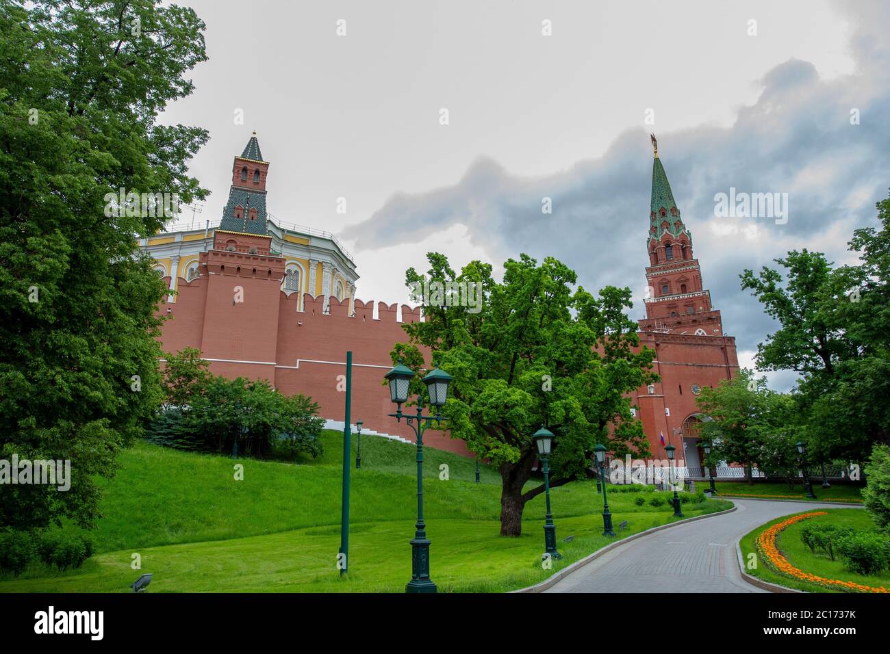 Prachtvoller mächtiger Baum - Eiche - - Exemplar - neben der Kremlwand- Alexandrovsky Park in Moskau- Schönheit der Natur im Sommer in Moskau ! - A Stockfoto