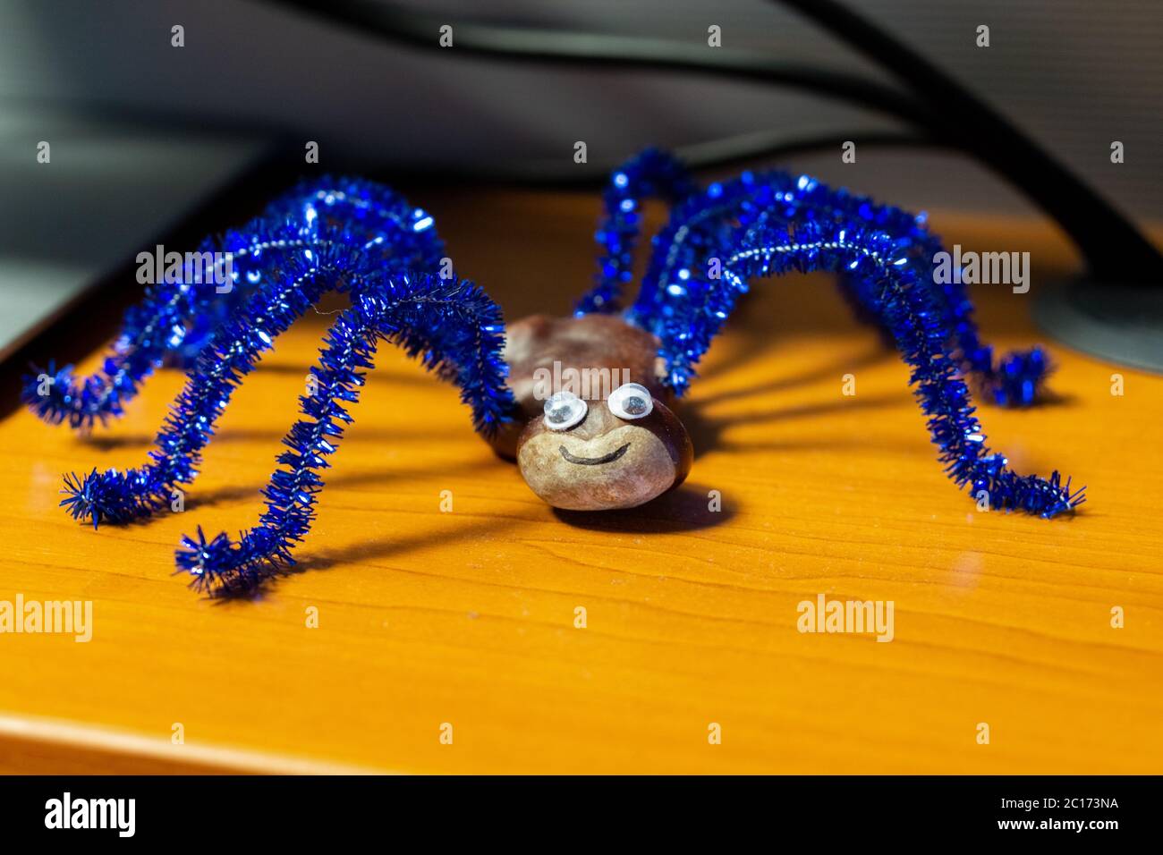 Spinne aus Kastanie. Slowakei Stockfoto