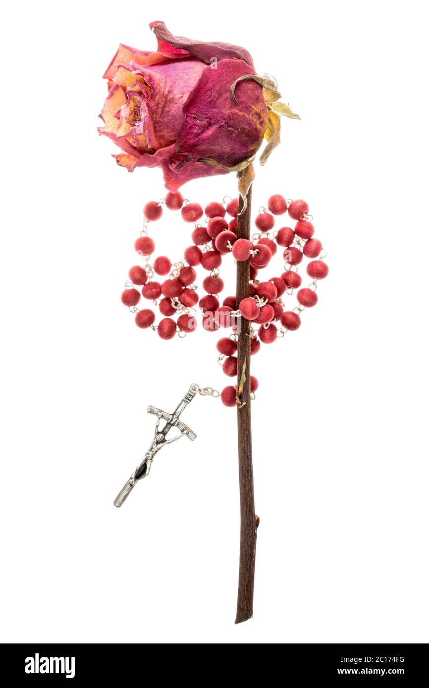 Katholischer Rosenkranz und trockene Rose auf weiß Stockfoto