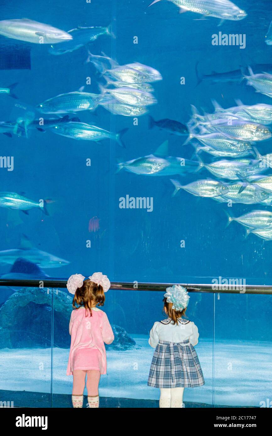 New Orleans Louisiana, Woldenberg Riverfront Park, Audubon Aquarium of the Americas, Forschung, Naturschutz, Wasserleben, Golf von Mexiko Coast Ausstellung, Fisch Stockfoto