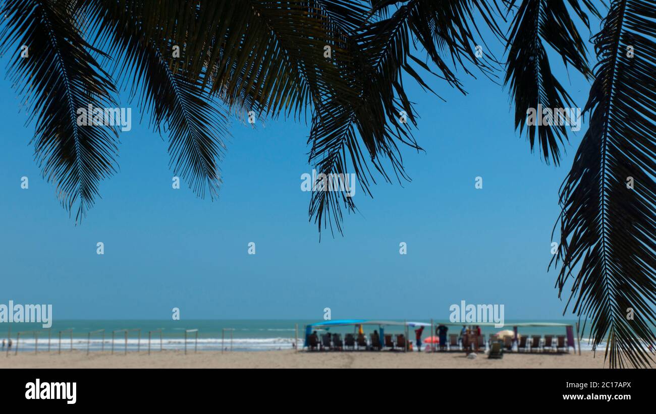 Palmenblätter im Vordergrund mit Touristen, die auf Stühlen am Strand mit blauem Himmel im unfokussierten Hintergrund ruhen Stockfoto