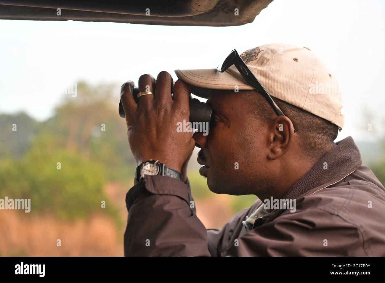Ein Safari-Guide in Afrika auf der Suche nach Wildtieren. Stockfoto