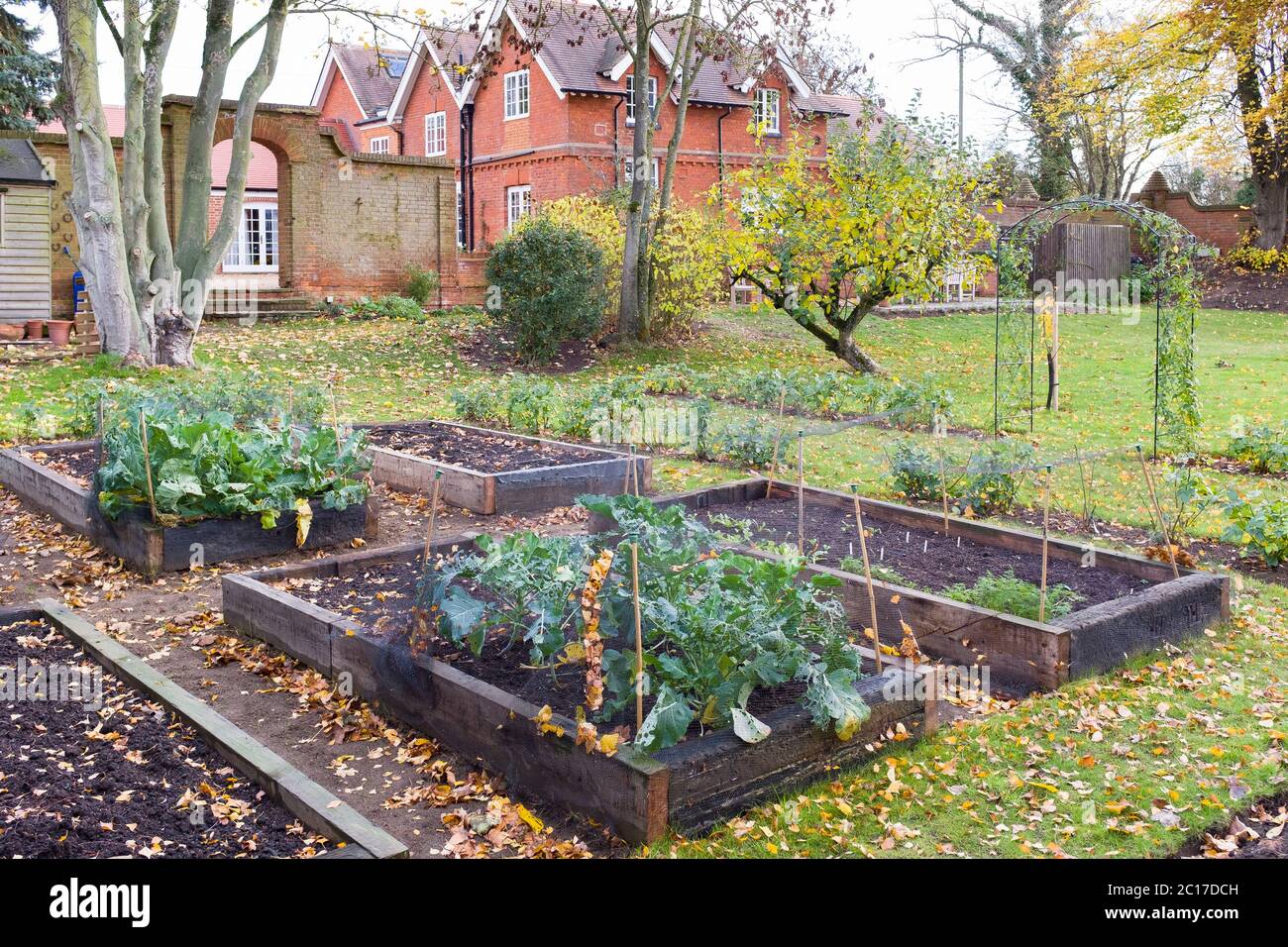 Viktorianischer Garten im Herbst in Großbritannien mit Gemüse in Hochbetten wachsen Stockfoto