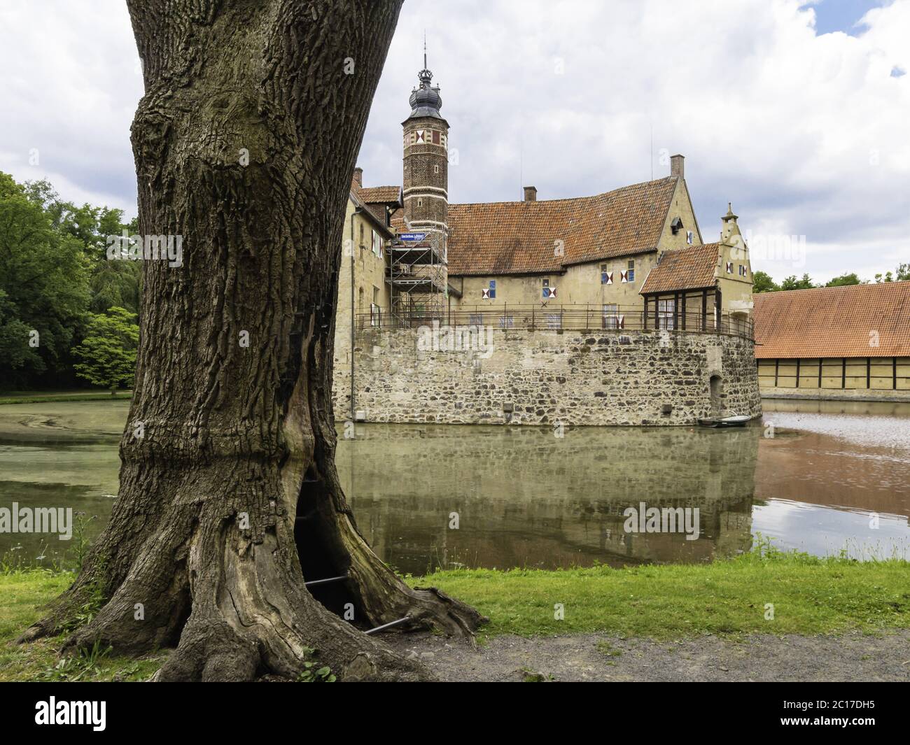 Altes Schloss und alter Baum, Wasserburg Vischerng, Lüdinghausen, Nordrhein-Westfalen, Deutschland Stockfoto