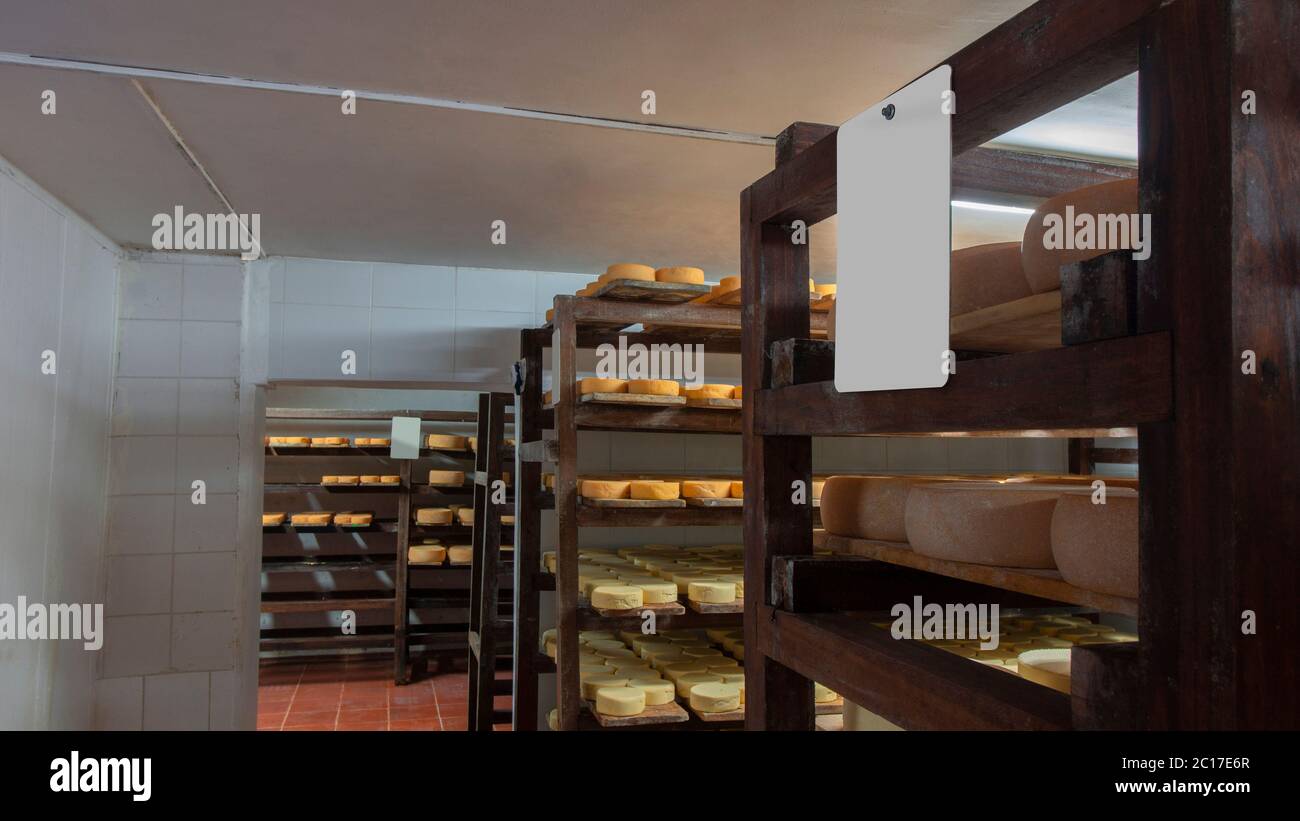 Blick auf das Innere eines alternden Kellers von Käse mit Holzregalen und Käse verschiedener Art Stockfoto