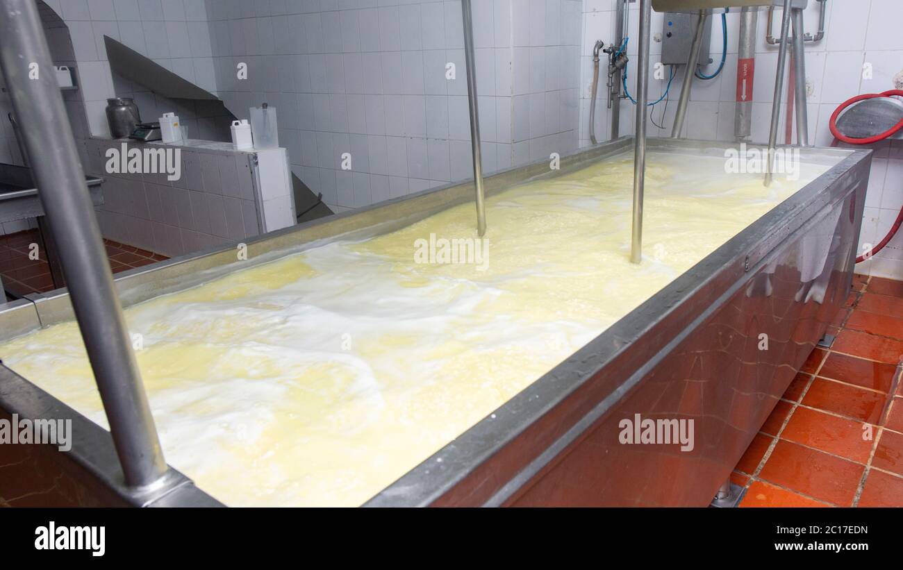 Ansicht des Industriebehälters zur Herstellung von Käse in Betrieb. Käseherstellung Stockfoto