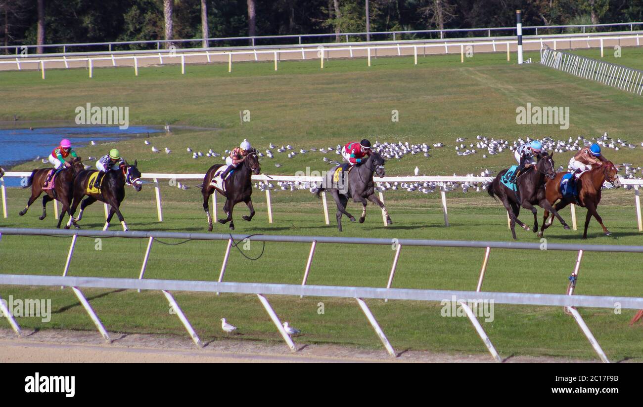 Home Strech Stockfoto
