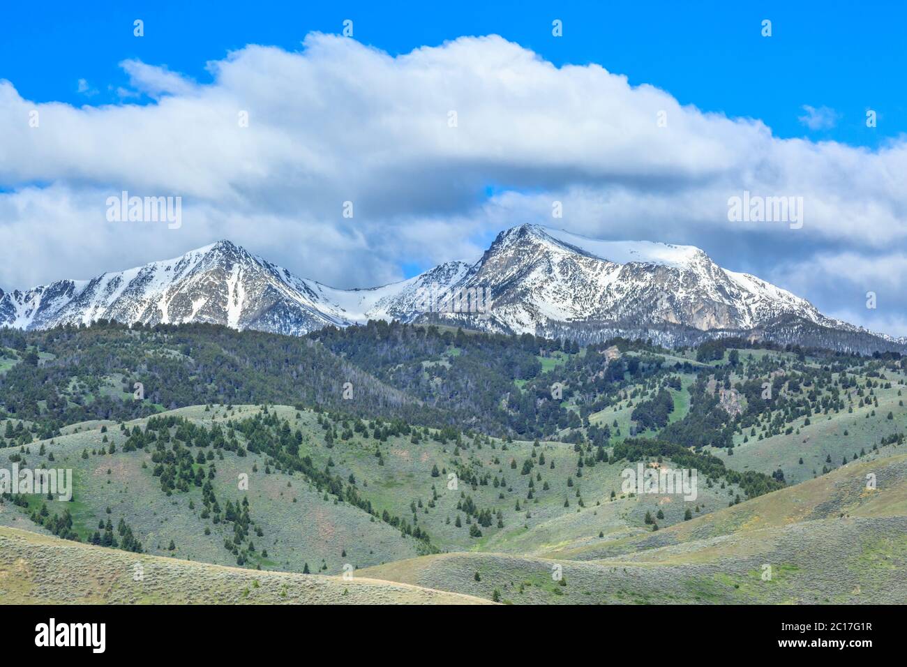 Hohl Top Mountain im Tabak Root Bereich in der Nähe von Harrison, Montana Stockfoto