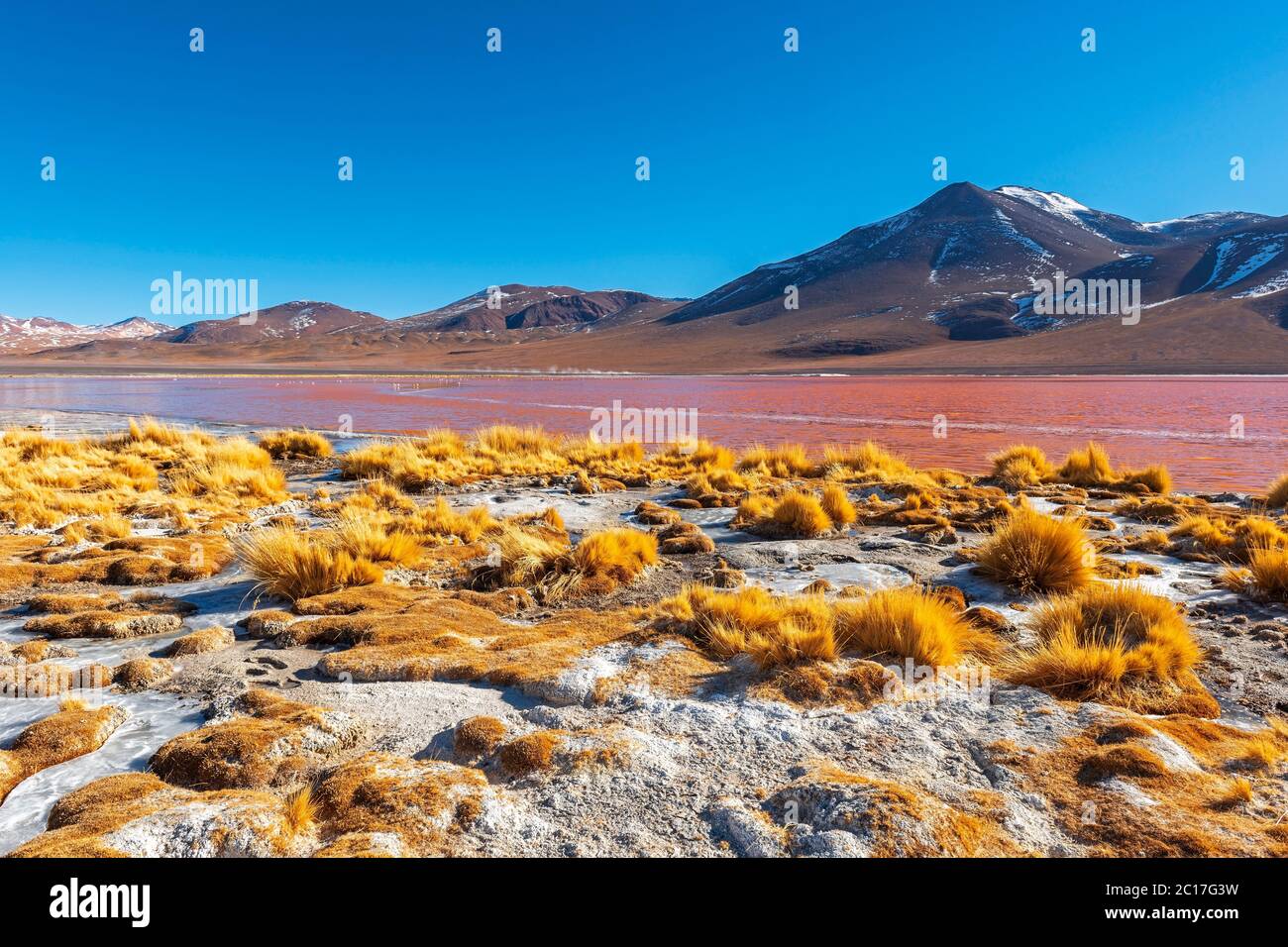 Die Laguna Colorada oder Rote Lagune im Winter in der Höhenlage altiplano der Uyuni Salt Flat Desert, Bolivien. Stockfoto