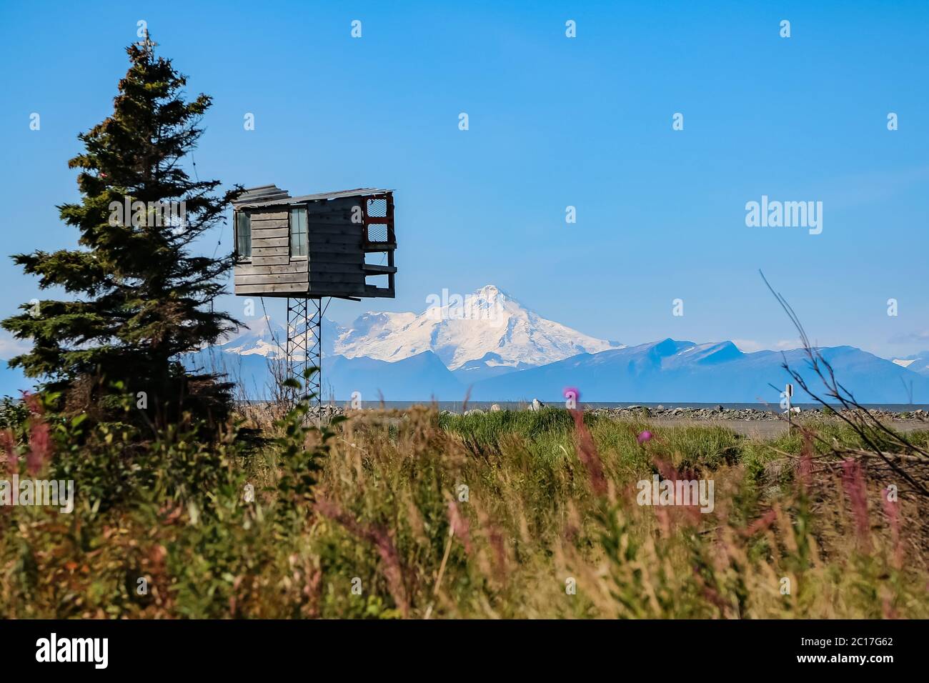 Blick von Kenai Halbinsel auf die schneebedeckten Vulkane der Aleuten, Alaska Stockfoto