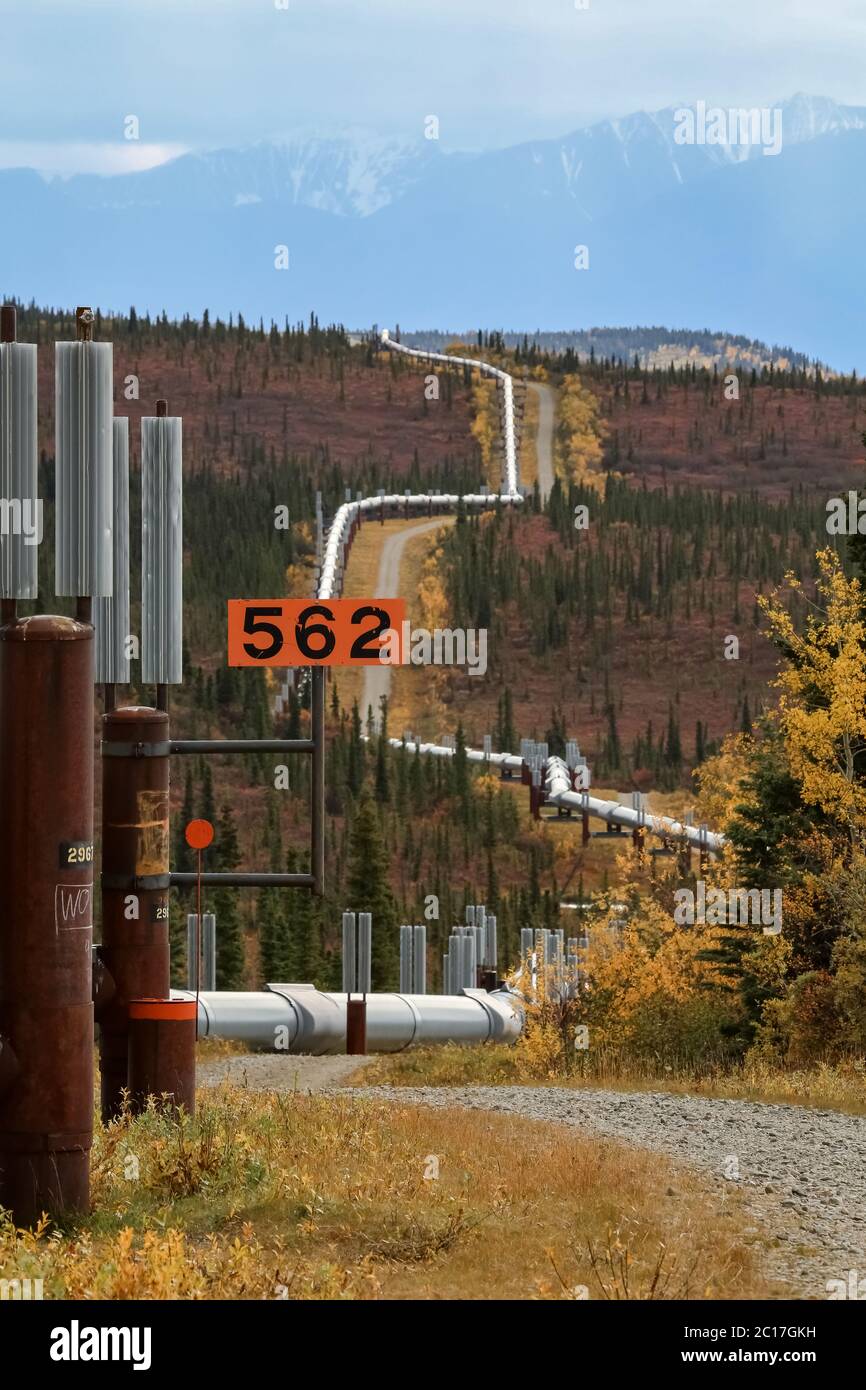 Trans Alaska Pipeline im Herbst in der Nähe von Richardson Highway, Alaska Stockfoto