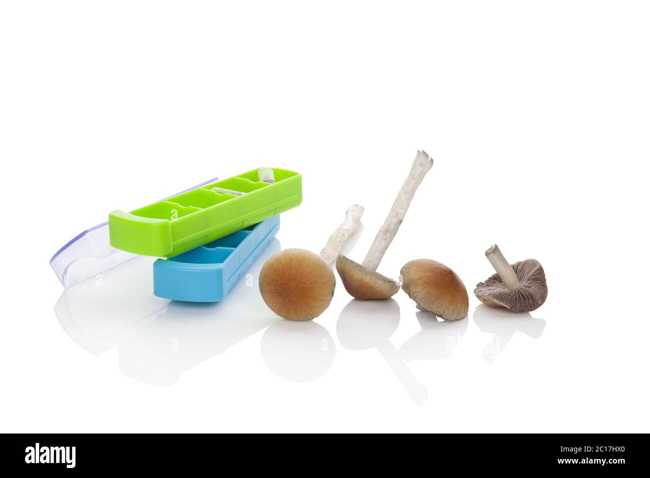 Magische Pilze mit Pille Veranstalter. Stockfoto