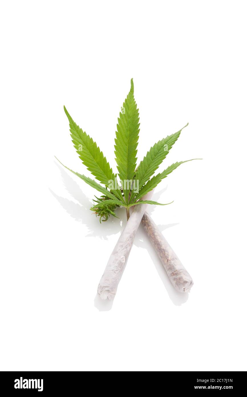 Cannabis Gelenke und Hanf Blatt Stockfoto