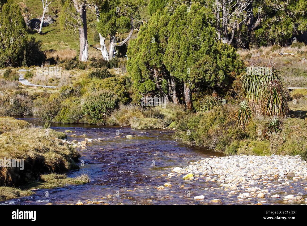 Scenery Creek, Cradle Mountain NP, Tasmanien Stockfoto
