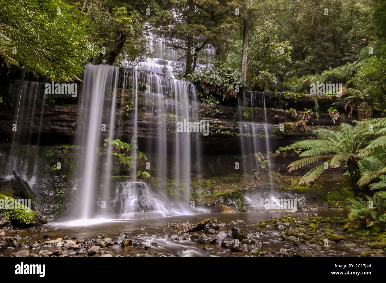 Russel Falls, Mount Field NP, Tasmanien Stockfoto