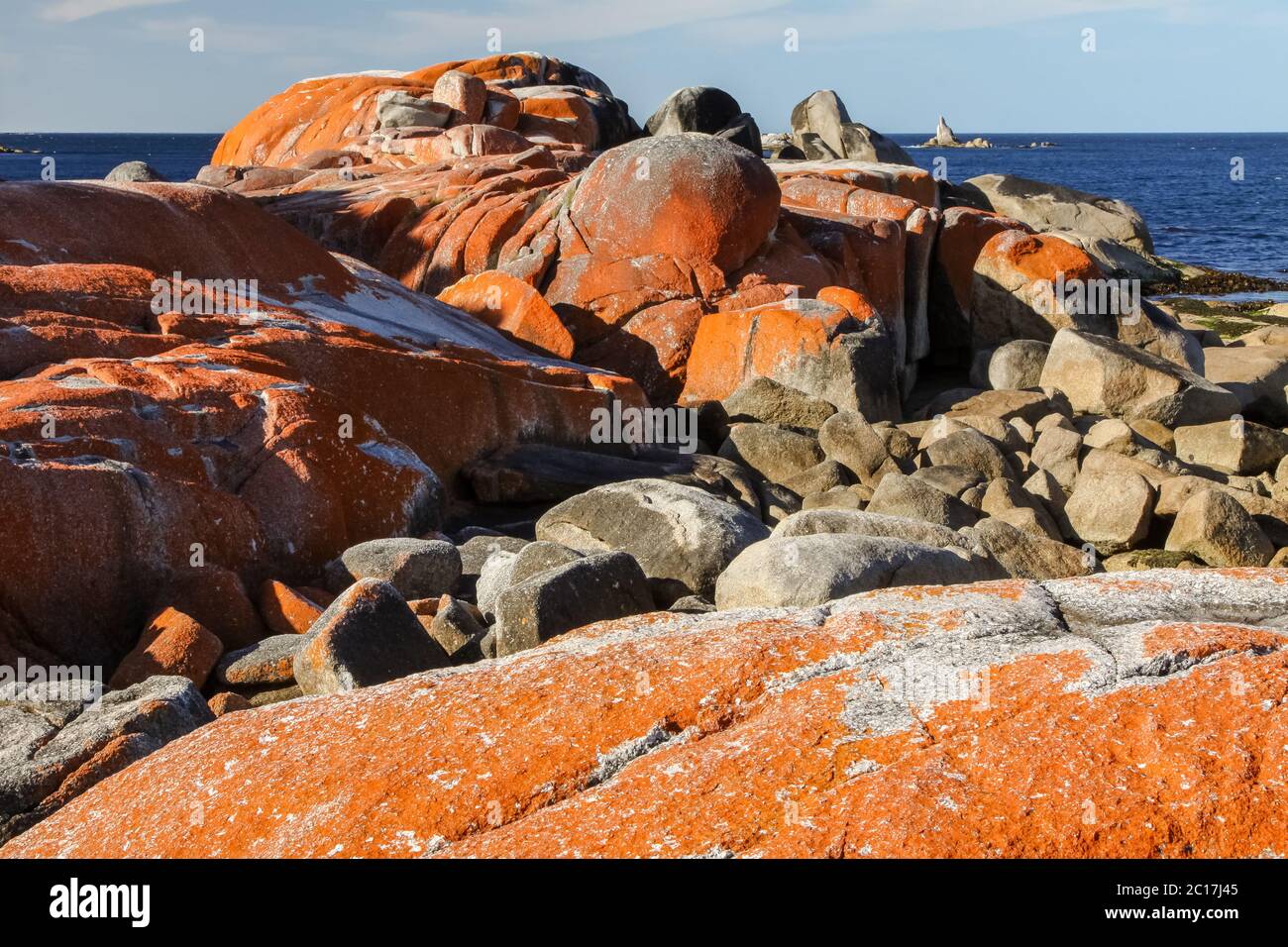 Flechten bedeckte Felsen, Bay of Fires, Tasmanien, Australien Stockfoto