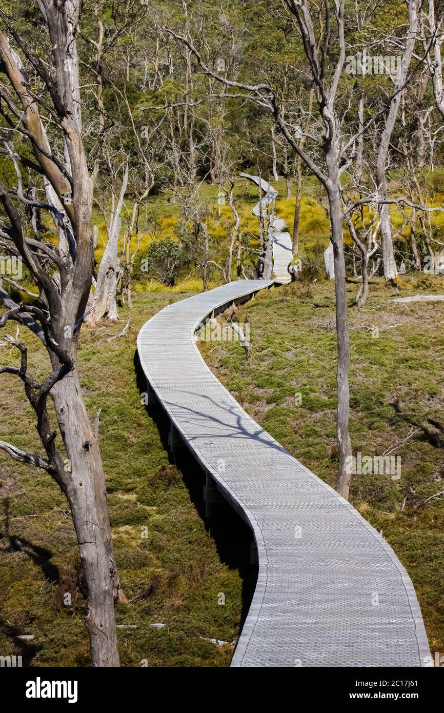 Boardwalk auf Wanderweg, Teil des Overland Track, Cradle Mountain NP, Tasmanien Stockfoto