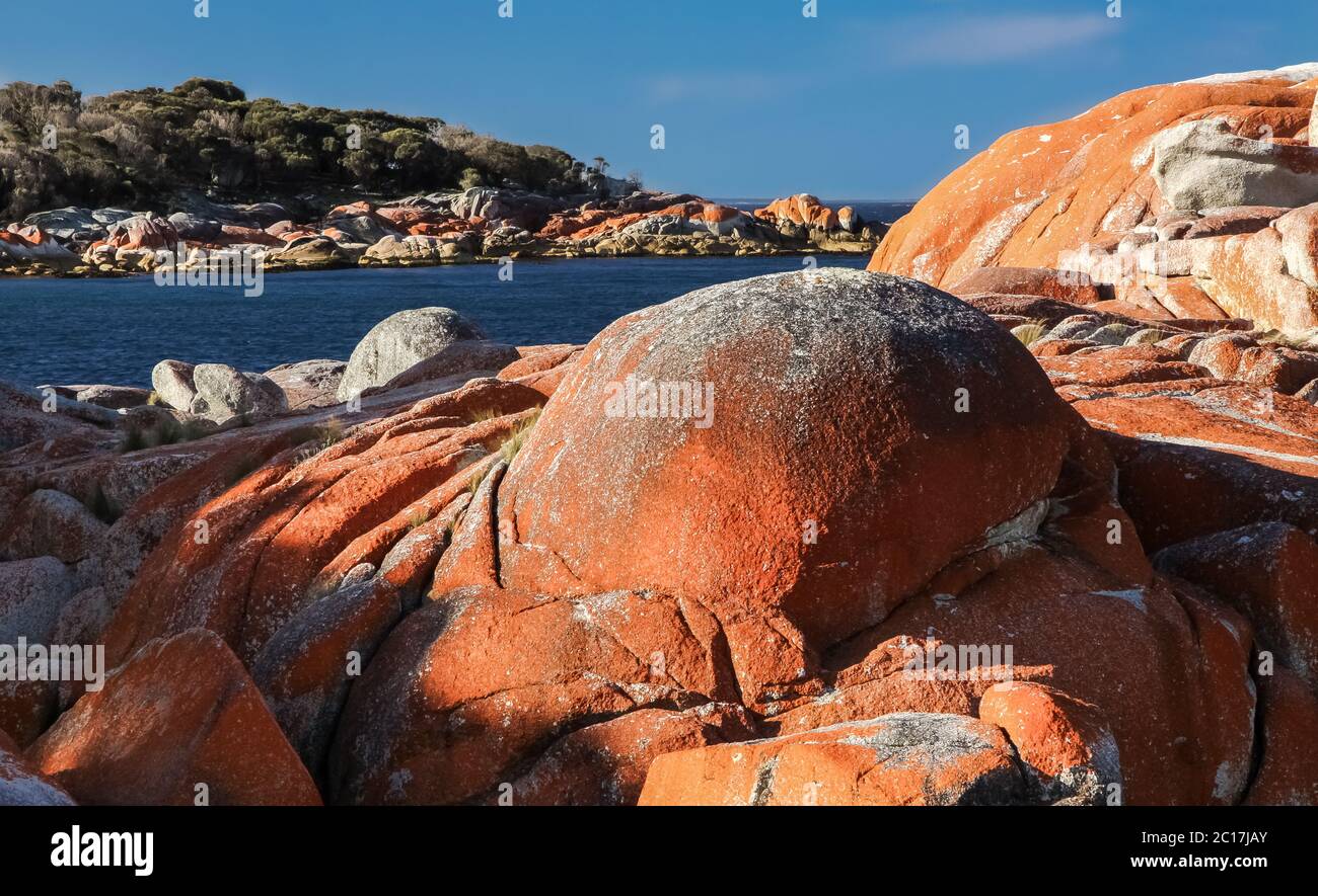 Flechten bedeckte Felsen, Bay of Fires, Tasmanien, Australien Stockfoto