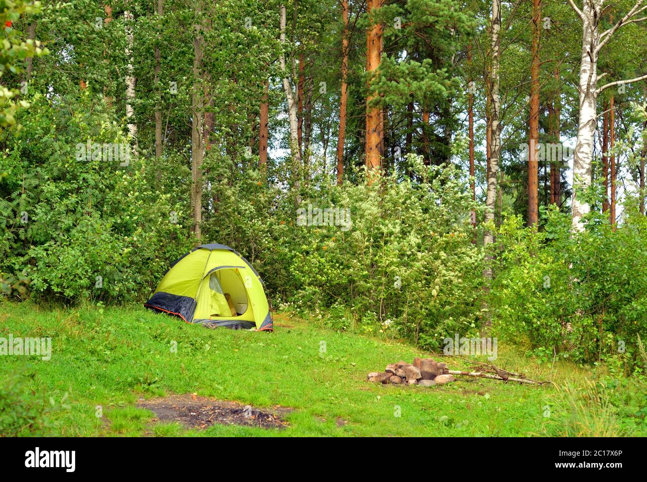 Camping Zelt im Sommerwald. Stockfoto