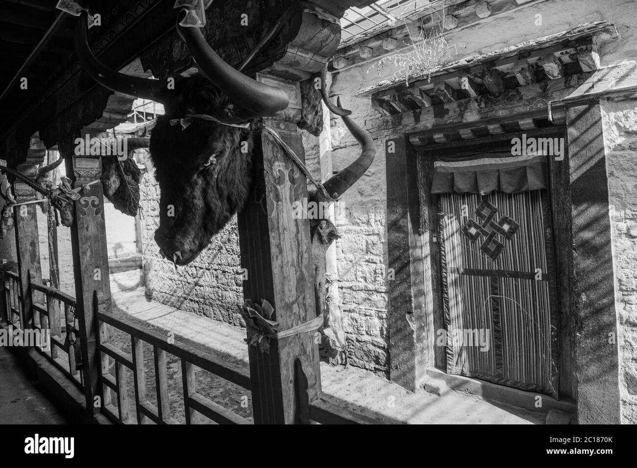 Grimmige Tierschädel flankieren den Korridor, der zu den Kapellen des Tsurphu-Klosters, Tibet, führt Stockfoto