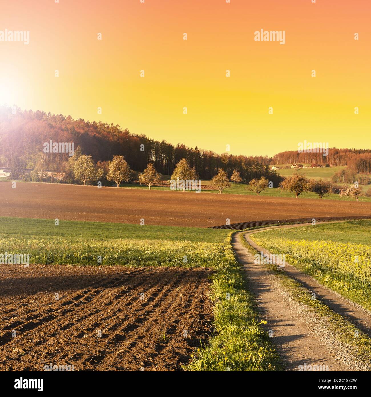 Ackerland und Weiden in der Schweiz Stockfoto