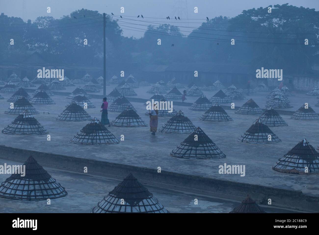 Es gibt viele Kinder und Frauen, die in den Reismühlen von 8 Uhr arbeiten 18 Uhr. Am Abend auf einer täglichen Basis für Kinder 50 Taka (0.65 USD) und Stockfoto