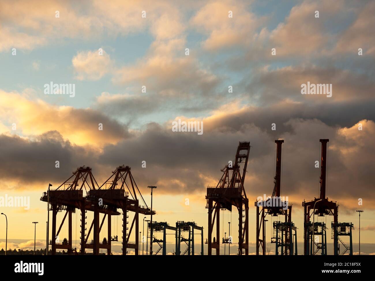 WA16773-00....WASHINGTON - Linie von Kränen im Hafen von Seattle zum Entladen von Containern von Schiffen. 2019 Stockfoto