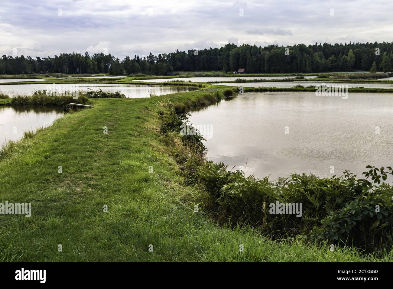 Land Der Tausend Seen Tirschenreuther Teichland Oberpfalz Bayern Deutschland Stockfotografie Alamy