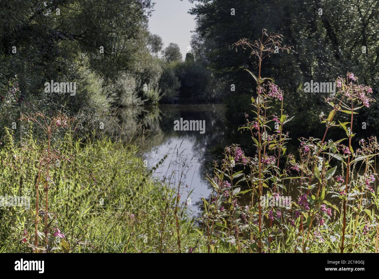 Im idyllischen Flusstal des Pfreimd, Oberpfalz, Bayern, Deutschland Stockfoto