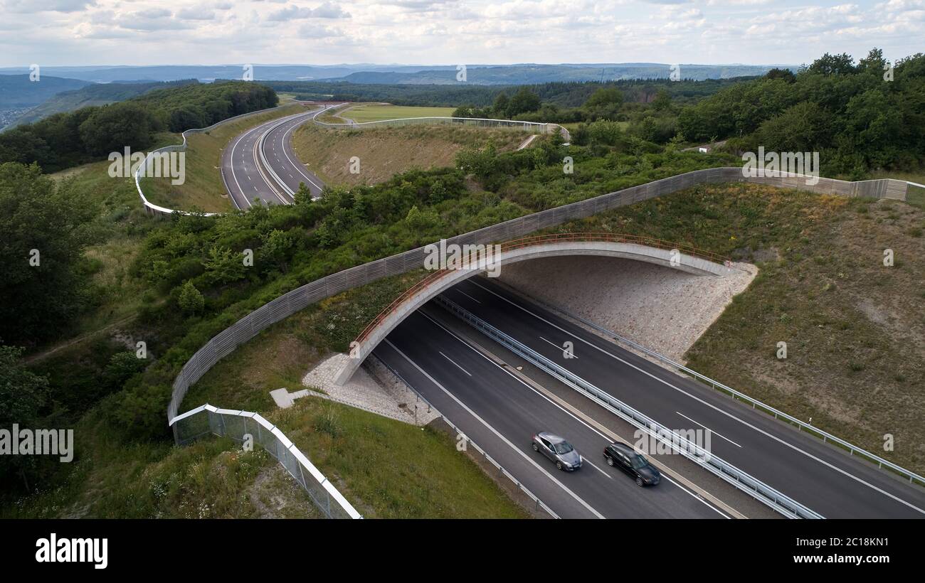 Longkamp, Deutschland. Juni 2020. Eine grüne Brücke überquert die Bundesstraße B50 (Foto aufgenommen mit einer Drohne). In Rheinland-Pfalz gibt es bereits 15 grüne Brücken, zwei Landschaftstunnel und neun Unterführungen für Wildtiere, um Lebensräume zu vernetzen. (To dpa 'sicher über die Straße: Immer mehr grüne Brücken für wilde Tiere') Quelle: Thomas Frey/dpa/Alamy Live News Stockfoto